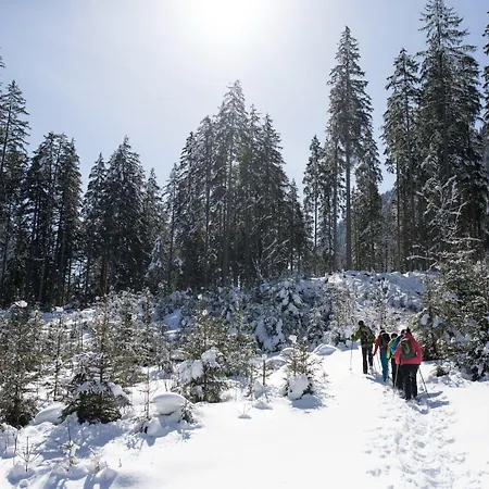 Sonnau Vacation Near Wildkogelarena